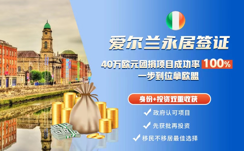 爱尔兰移民