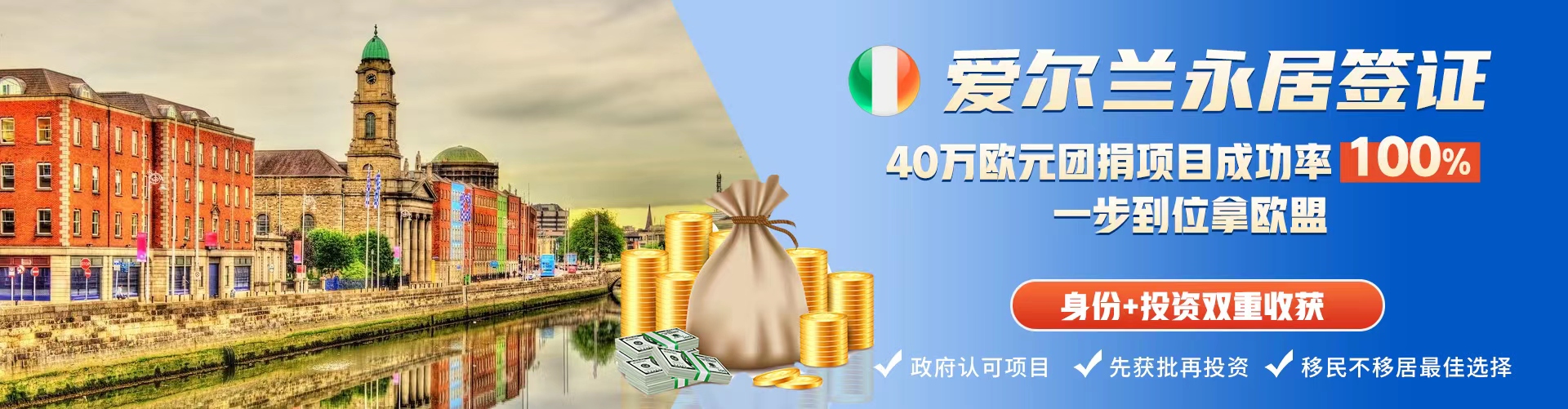 爱尔兰移民