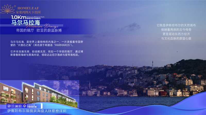 1769072533554551.jpg 6cfa16f7-cebd-49ff-a6cf-711f8948546c.jpg