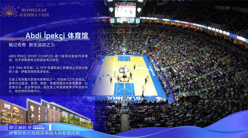 1769072566337826.jpg 38e864ee-9933-48fb-b8a6-fc0dbec03b66.jpg