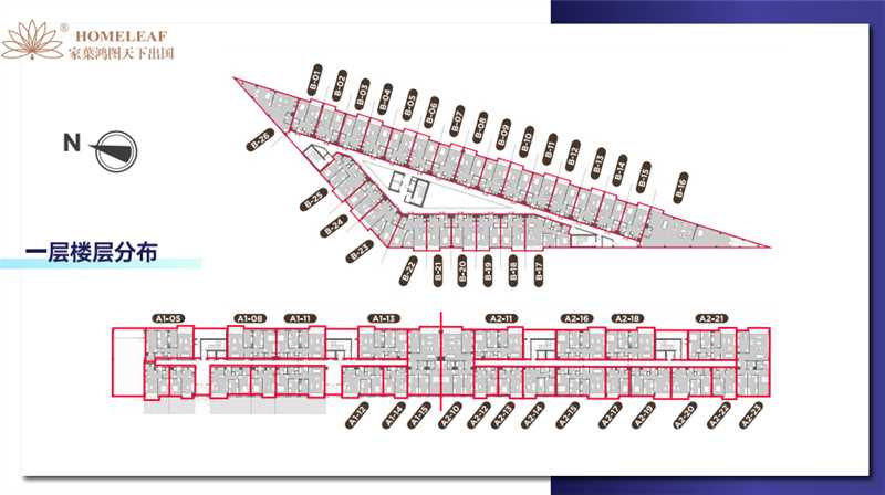 1769072617114723.jpg 39fde66a-fb1c-4a44-8fdd-1db8a738549d.jpg