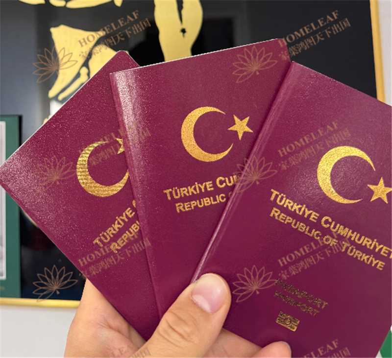 1769072669157615.jpg 31d7889d-d47a-4961-969a-ca4afcb8970a.jpg