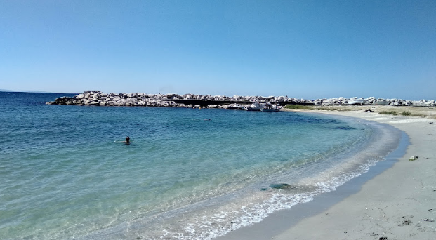 1769073101873720.png 7859cb48-df9a-4024-ac3c-84d28510353f.png