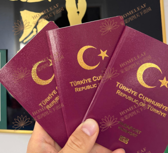 1769073284179763.png ae584eac-4a16-4310-92f6-1cd1770cc1eb.png