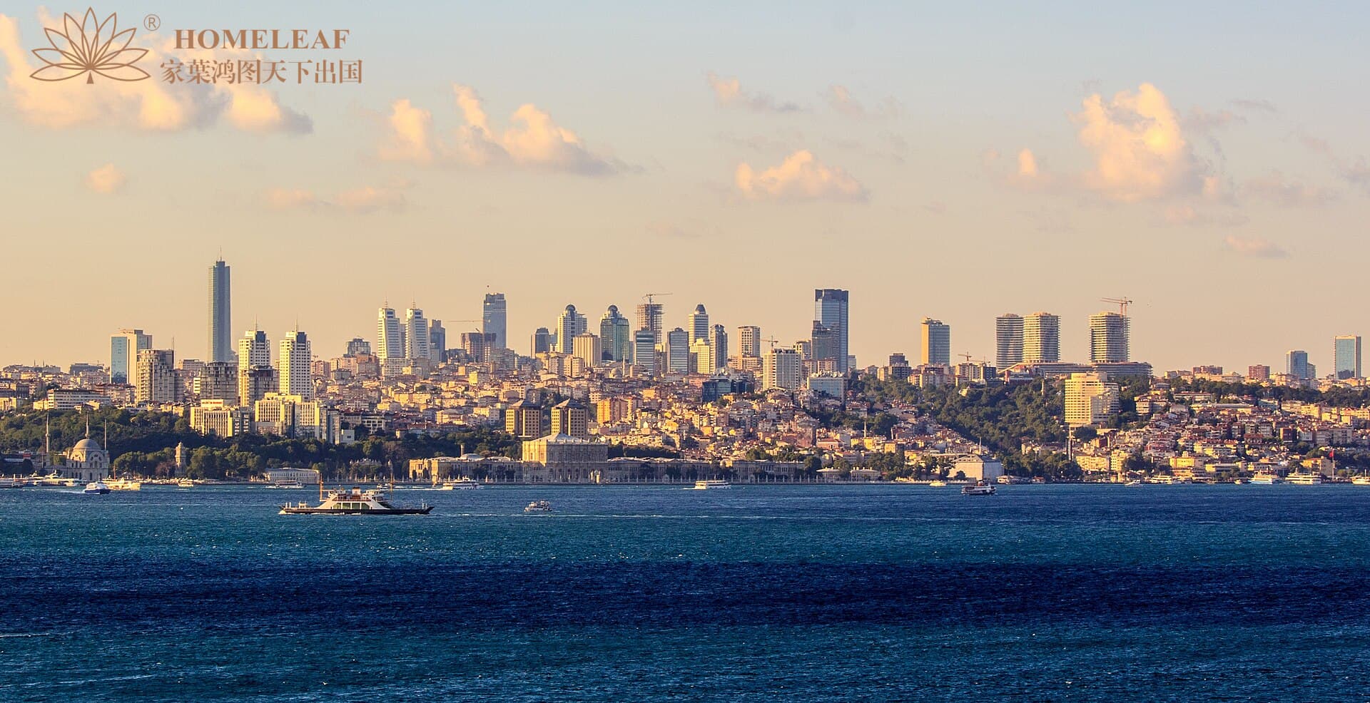 1769073545476070.jpg d84c1cd6-c281-4f81-8903-1ff49bbf29e7.jpg