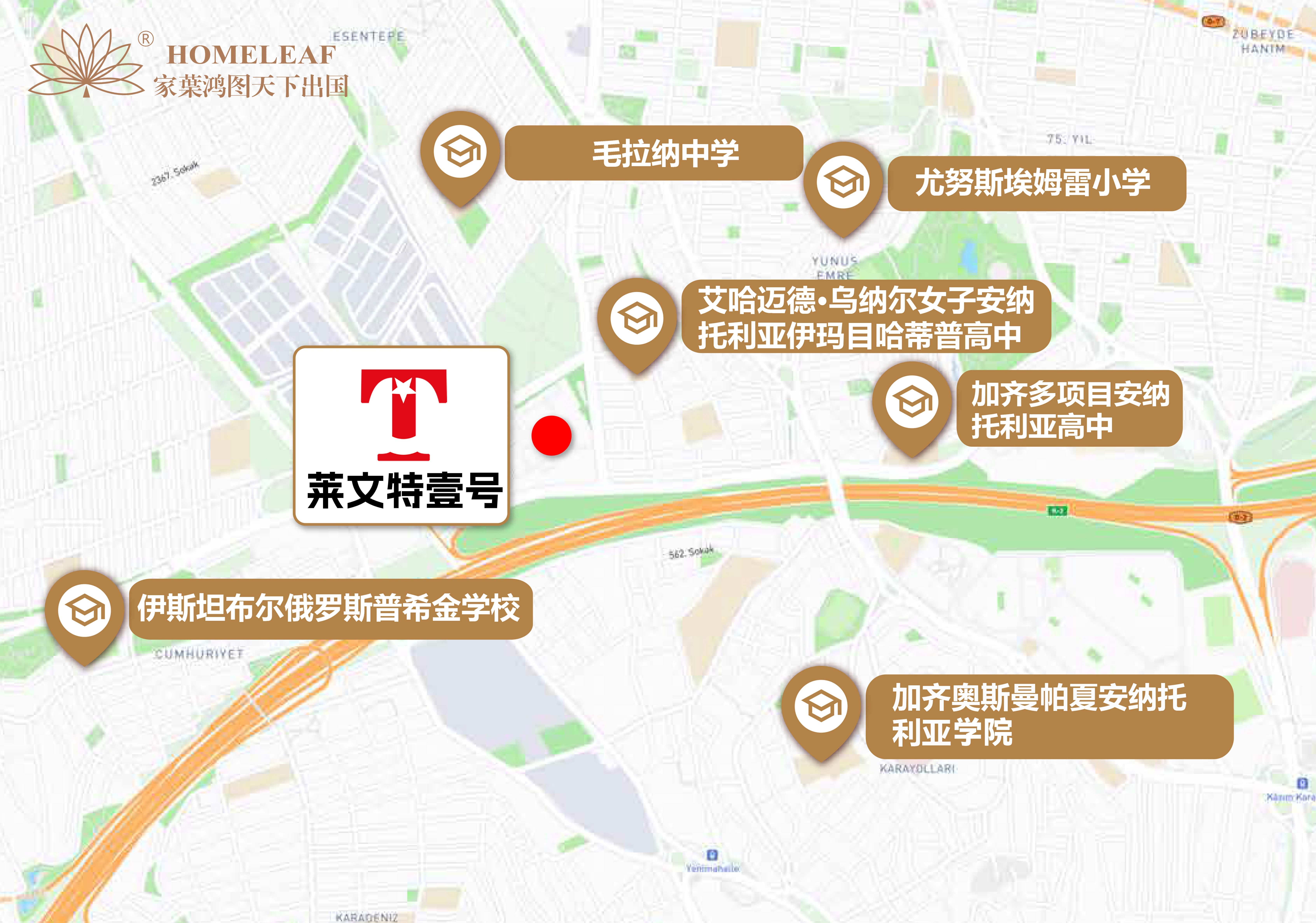 1769073608164843.jpg 77e2f7fb-093e-4fc0-945c-77e85f86239b.jpg