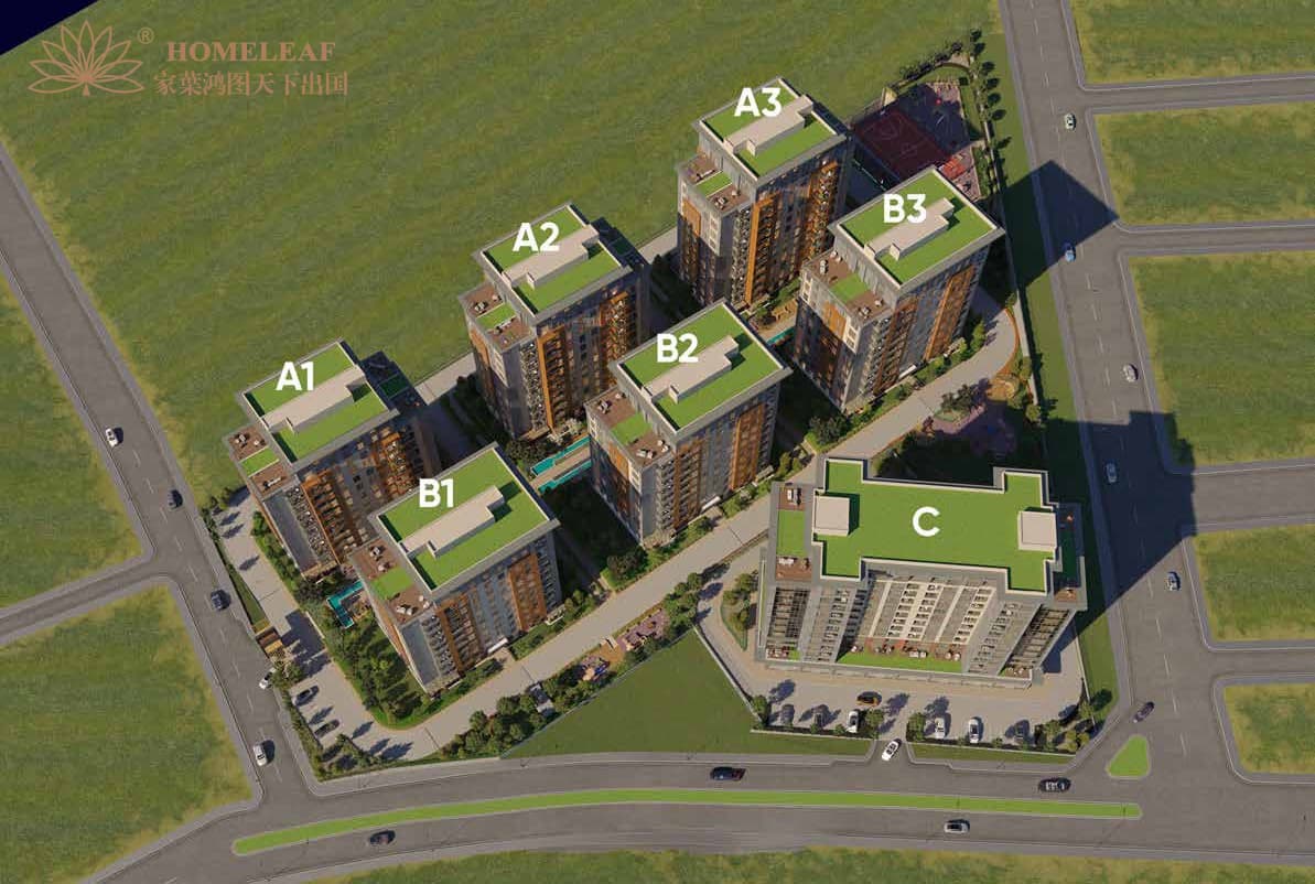 1769073627146876.jpg f968dc9e-d8a5-4009-ae0a-a31dd4331d21.jpg