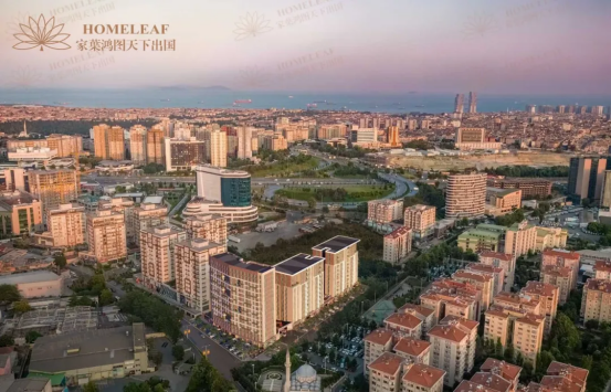 1769745987153372.png 图片.png