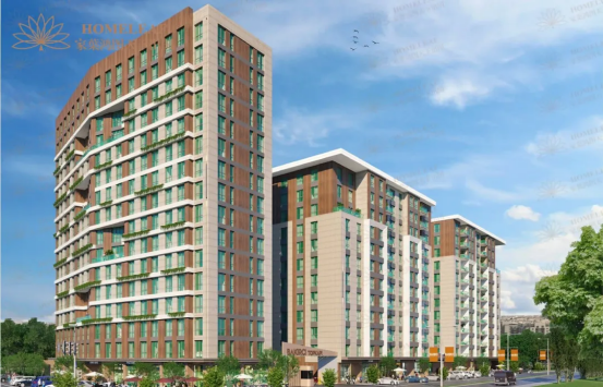 1769745995102320.png 图片.png