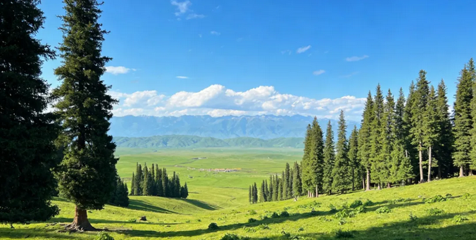 1770948720182447.png 图片.png